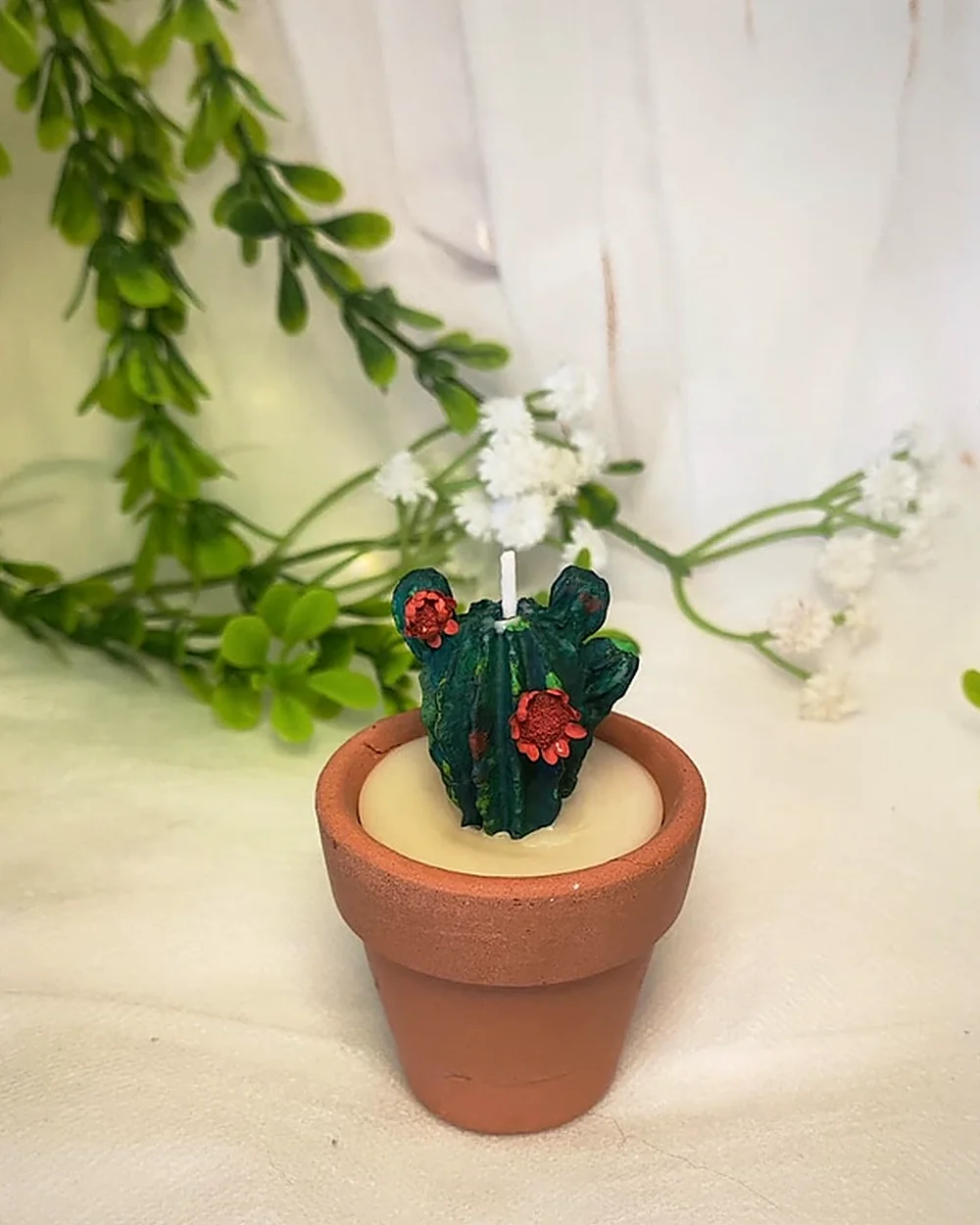 Mini suculentas Jardim Lumière